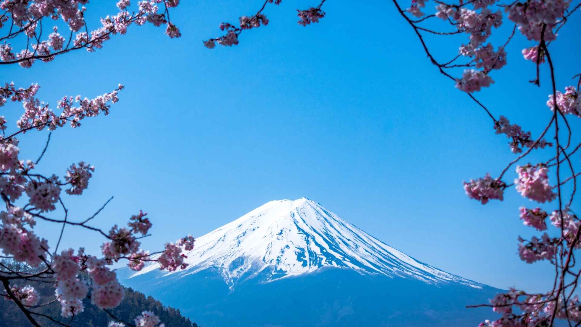 payroll and hr in japan