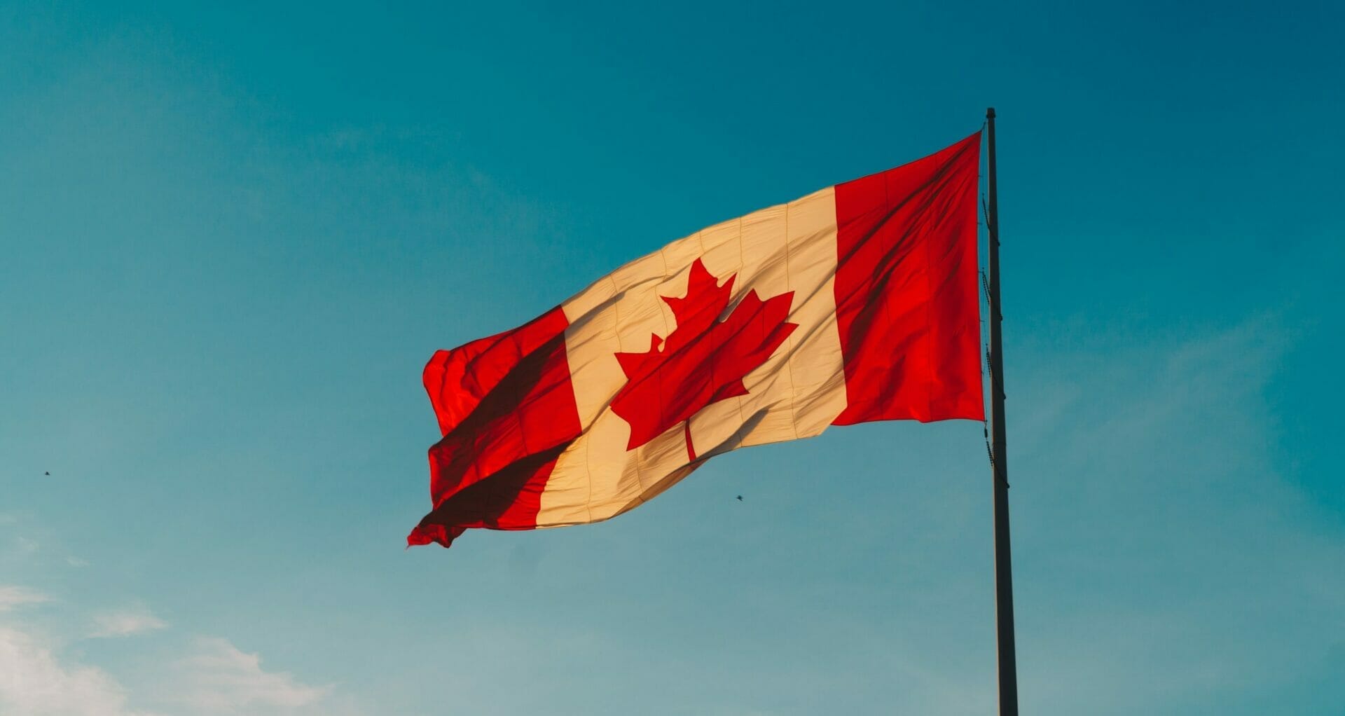 ontario training requirements